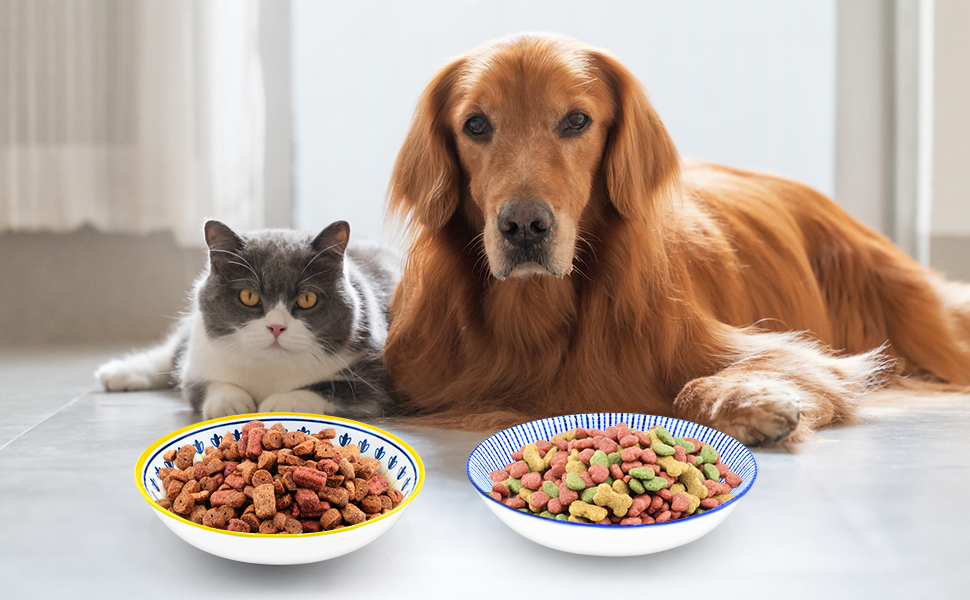 Набори керамічних мисок для котів FOSTBEEN (8 шт.), для корму та води, без втоми вусів, підходять для кошенят