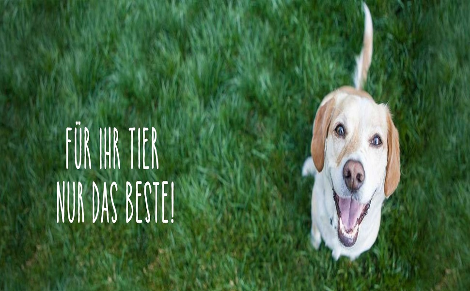 Подушка декоративна Nobby RENO Classic, чорна, 69x50x9 см