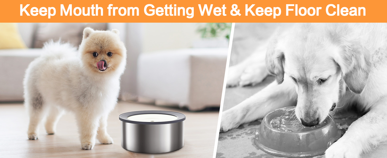 Нержавійна чаша для води для собак 2L, не протікає, без облизування, для дому, вулиці, авто