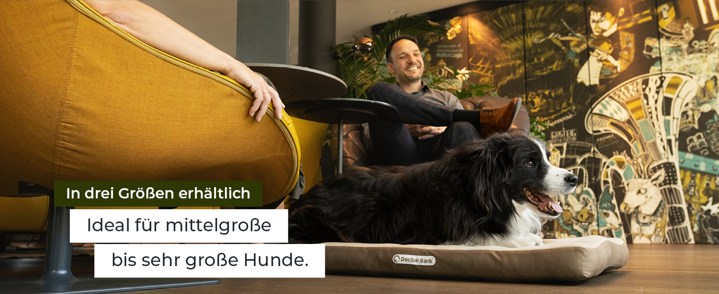 Ортопедичний матрац для собак Doctor Bark з флісовою поверхнею, великий (100x70 см, сірий)