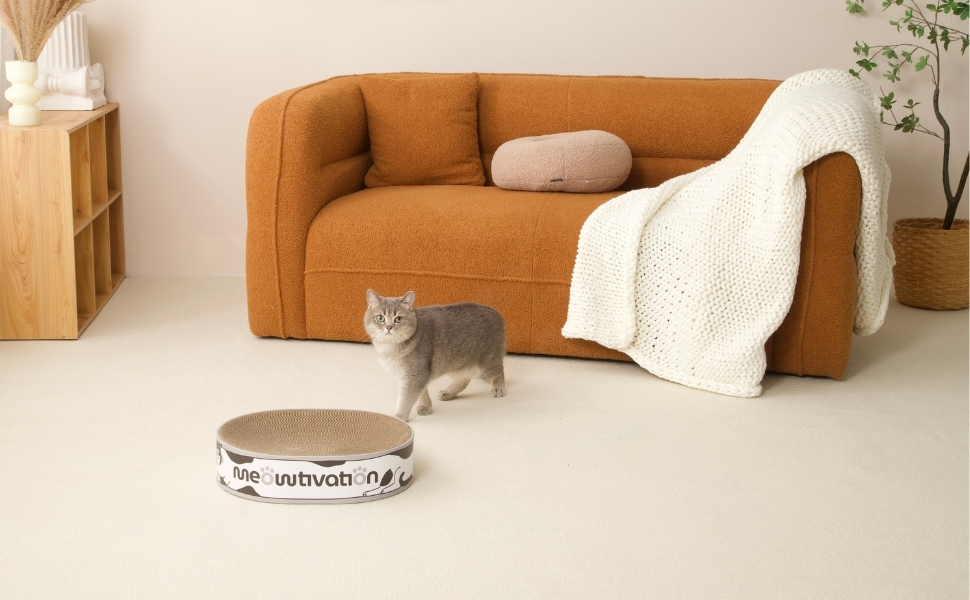 Кігтеточка-ліжко для котів з картонної коробки, 42 см, з котячою м'ятою