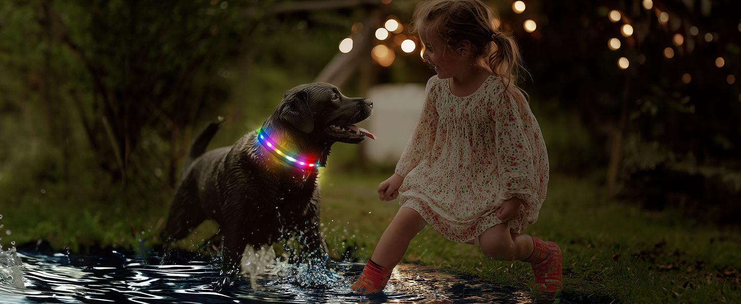 Світлодіодна нашийник для собак Feycig з USB зарядкою - водонепроникний, регульований, 3 режими, для малих, середніх та великих собак (Чорний, L(48-60см))