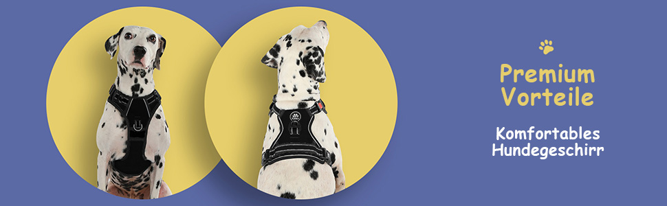 Шлейка для собак середнього розміру FURRYFECTION, антивитягуюча, без обмеження руху, з регулюванням, Oxford ediu (Пlaid, Чорний, M)