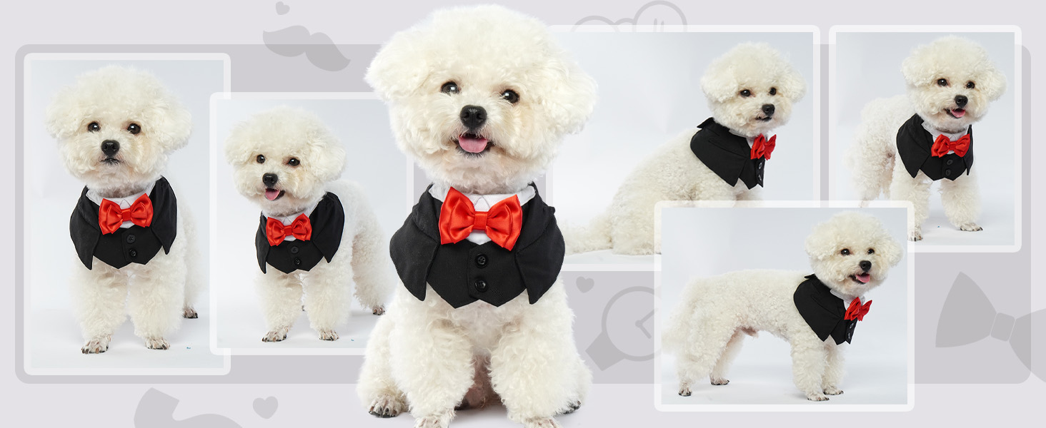 Нашийник для собак з краваткою для весілля, смокінгу, Дня святого Валентина, дня народження - костюм для собак, одяг для котів (чорний, M) M Чорний