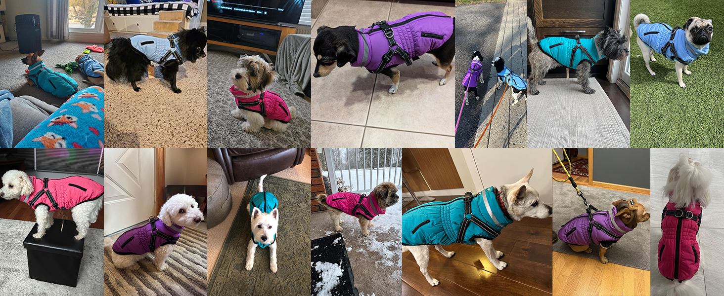 Теплий зимовий одяг для собак та котів - куртка, водонепроникний, зелений (XXL, червоний)