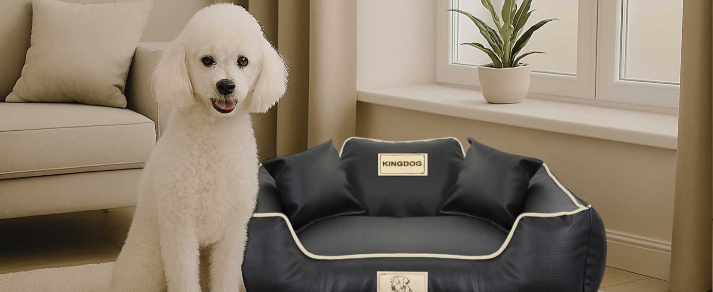 Крісло-ліжко для собак середніх порід King Dog: миється, з еко-шкіри, 75x65 см, з можливістю персоналізації імені, водонепроникне, з силіконовою начинкою, чорне