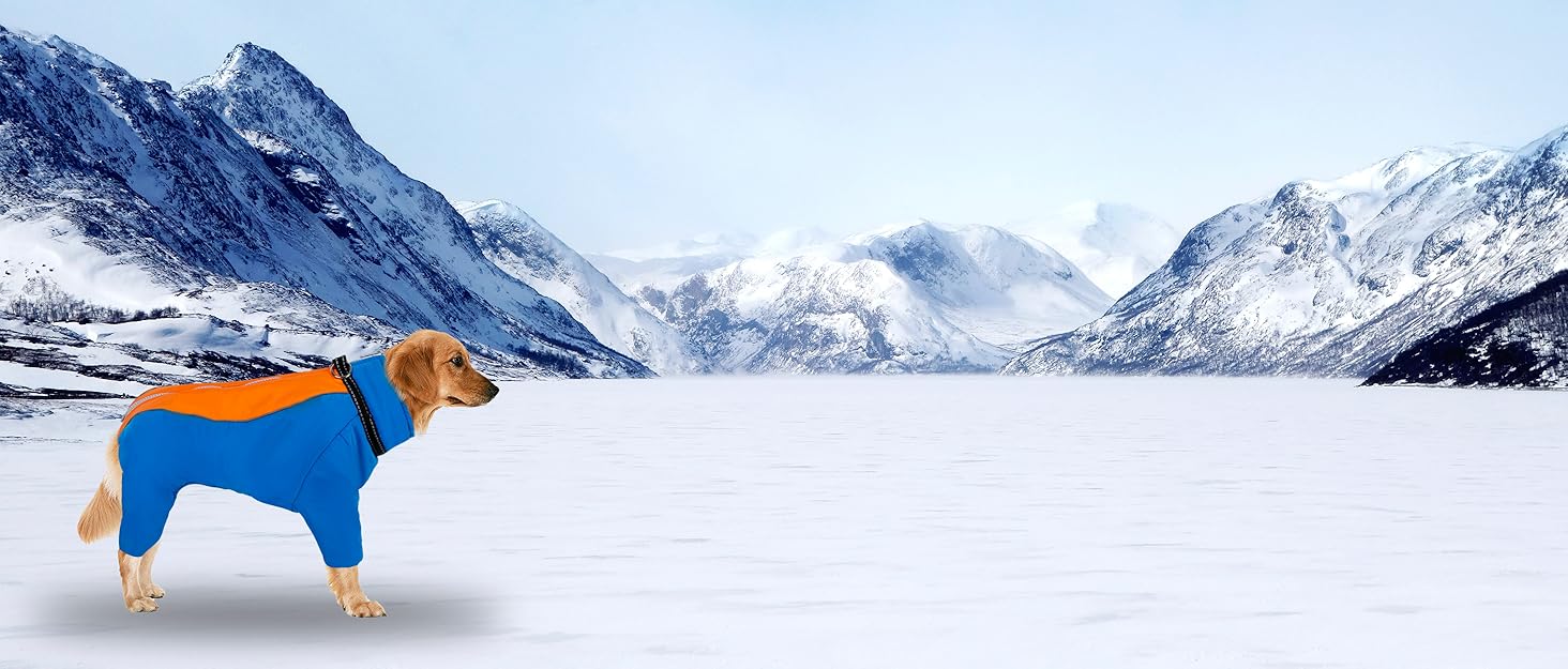 Водонепроникний зимовий одяг для собак CHZIMADE: тепла флісова жилетка та куртка для маленьких собак та цуценят. Відбиваючий дизайн, блакитний колір, розмір M
