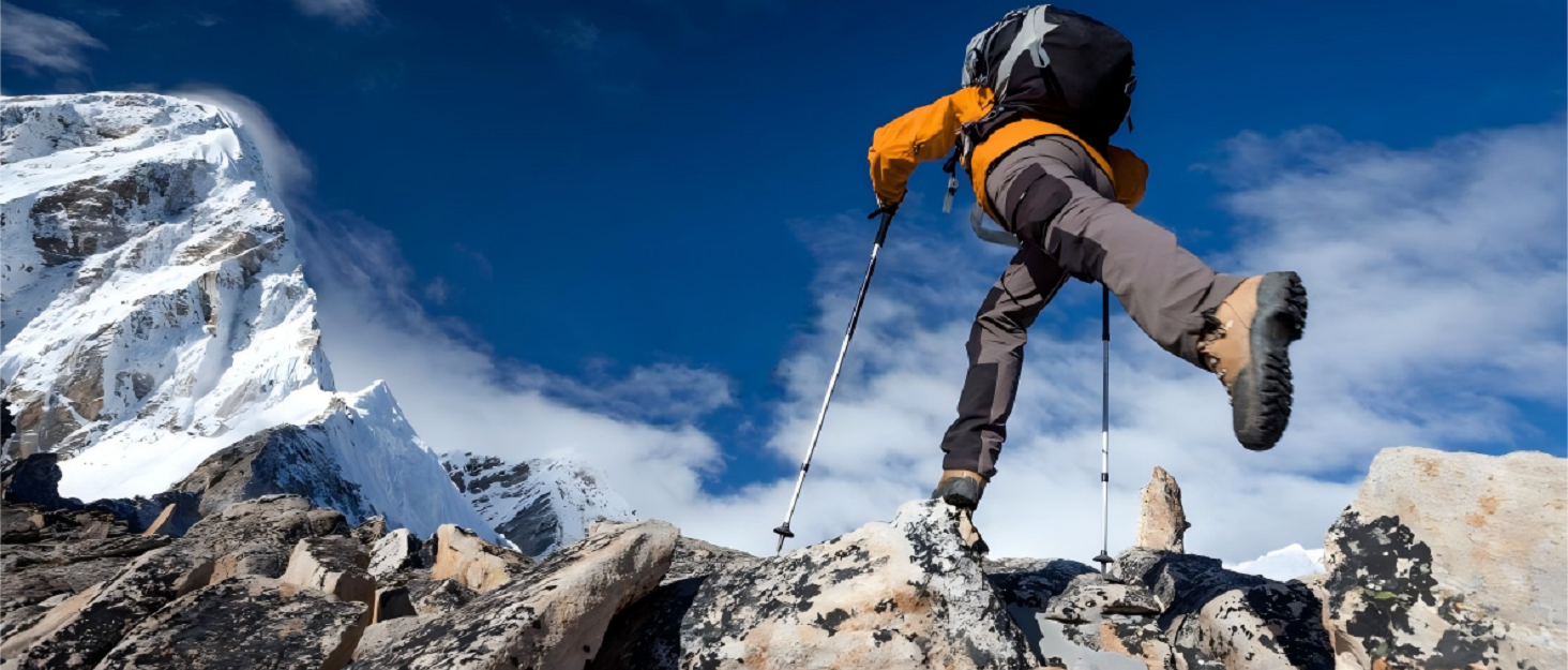 Сумка-переноска для тварин Natudeco, дихаюча сітчаста сумка через плече, сумка для собак, безпечна сумка з регульованим ременем для маленьких тварин, подорожі на відкритому повітрі (L)
