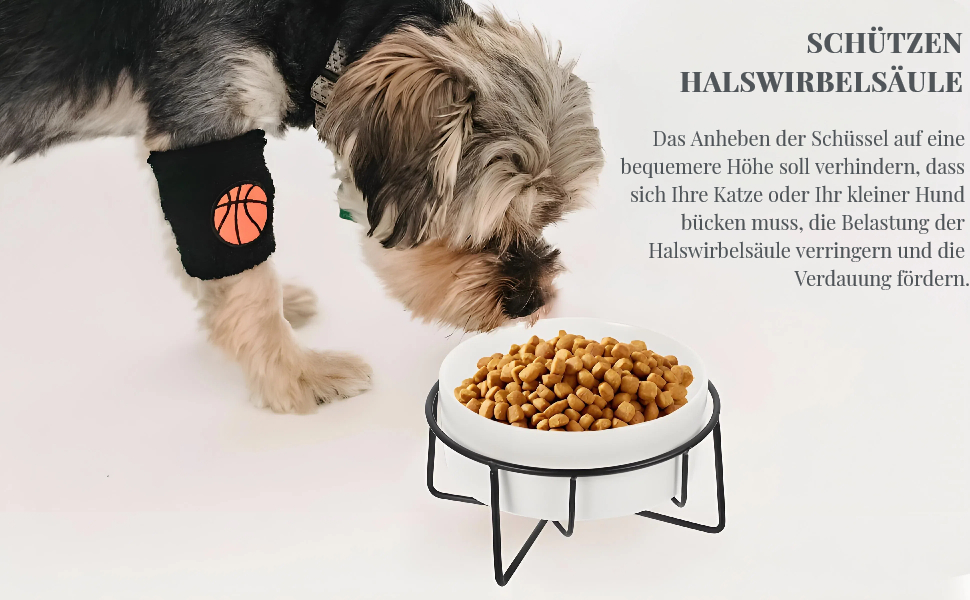 Миска для котячого корму POPETPOP з піднятою конструкцією та неслизьким дном, 14.5x8.5 см