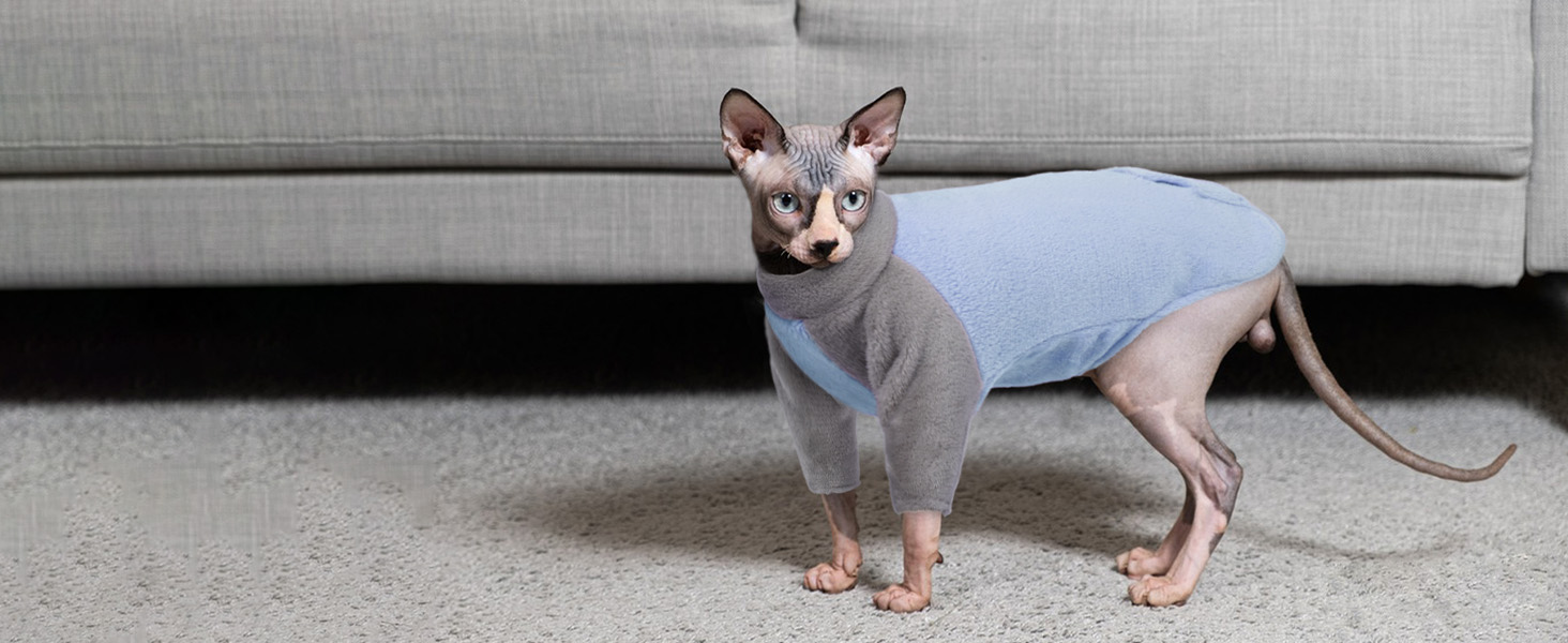 Пуловер з коміром-стійкою