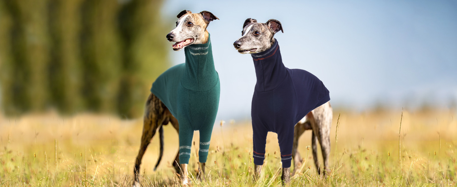 Светр для грейхаунда, теплий костюм для віндхаунда, костюм з високим коміром для маленьких собак, блакитний, розмір M