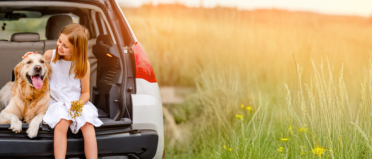 Складана пляшка для води для собак Lesotc 1000 мл, витоку немає, блакитна