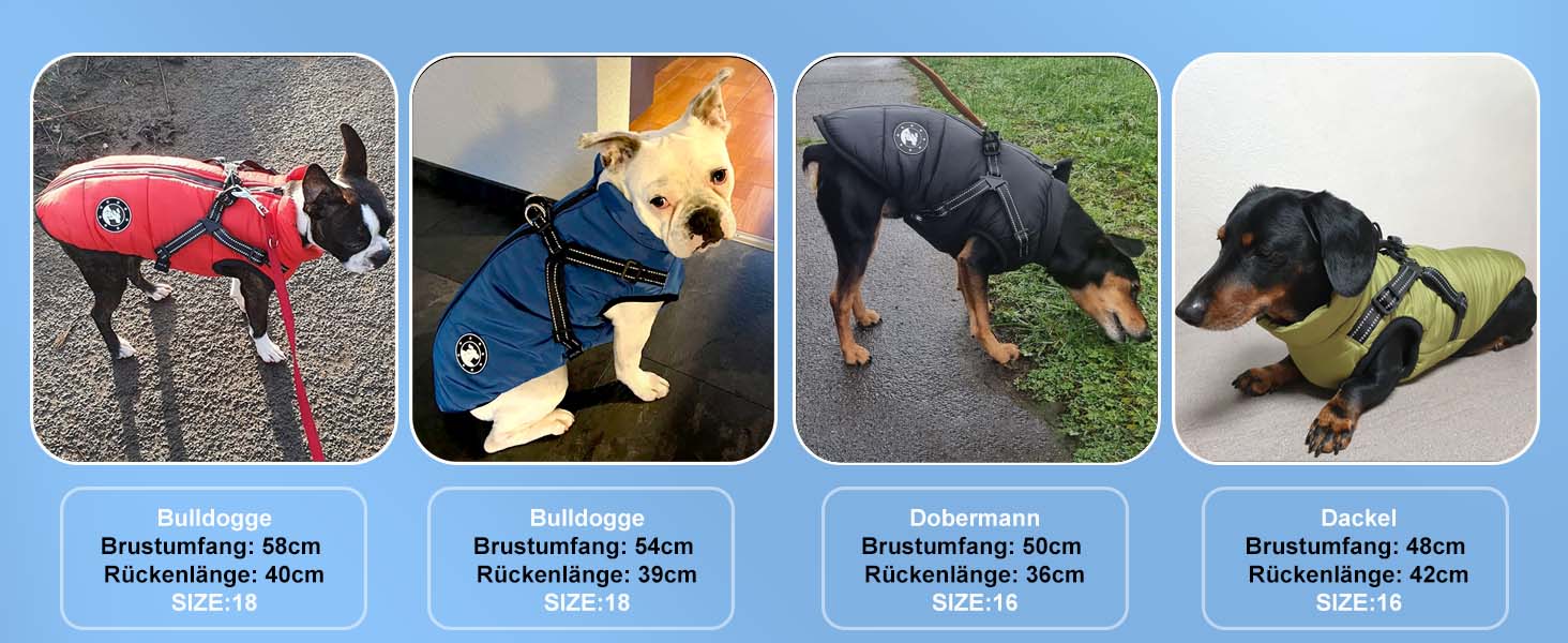 Водонепроникний теплий жилет для собак Французького бульдога, жилет для собак з кріпленням для шлейки, різні розміри, фіолетовий, розмір 10 (обхват грудей 31-36 см)