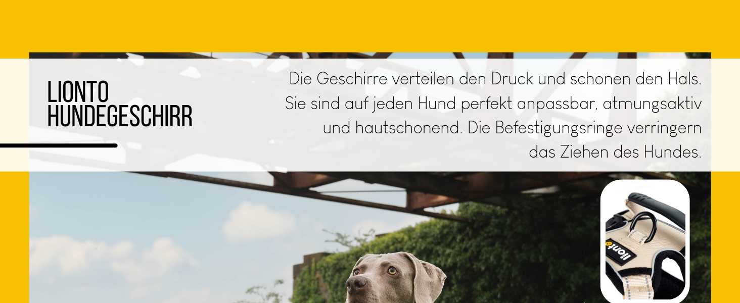 Нашийник для собак Lionto, розмір L, червоний, з м'якої нейлону, анти-тяга, з 2 кільцями та 4 регульованими ремінцями, з гумовою ручкою