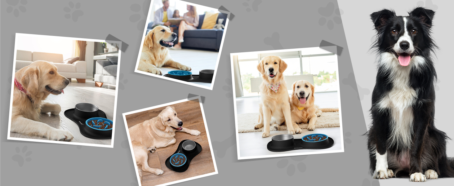 Набір мисок для собак MateeyLife 3-в-1: миска для їжі протиковзаюча, миска для води з нержавіючої сталі та силіконова підставка. Підходить для собак, котів та цуценят різних порід. Чорний колір.