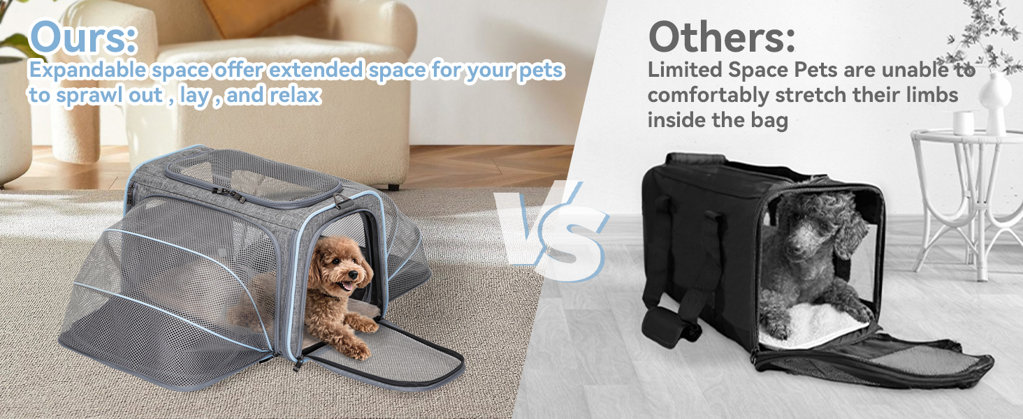 Транспортна сумка для кота та собаки Petsfit, розширювана переноска з плечовим ременем, сумка-переноска для собак та котів, авіапереноска, оксфордська тканина, M, Зелений/Одностороння зелена (Сірий, M/Двосторонній)