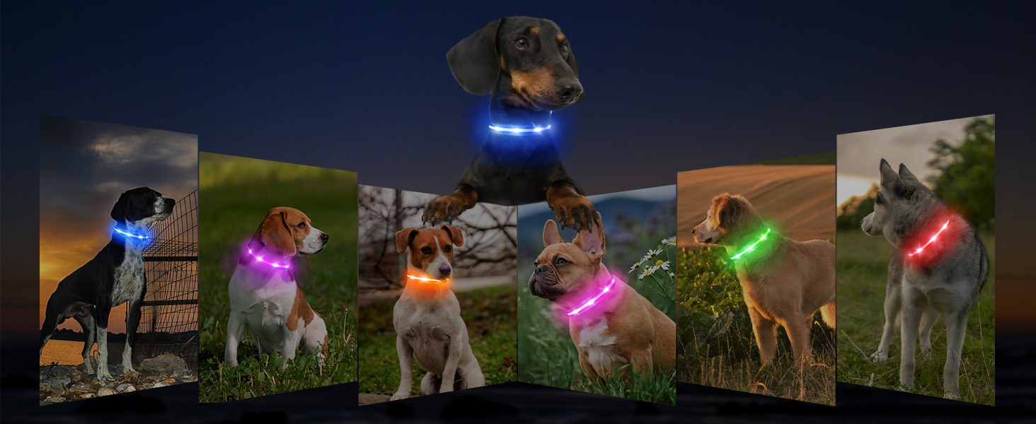 Світлодіодне нашийник для собак Masbrill, світловідбиваючий, водонепроникний, регульований, з 3 світлодіодами, для малих, середніх та великих собак, червоний, L