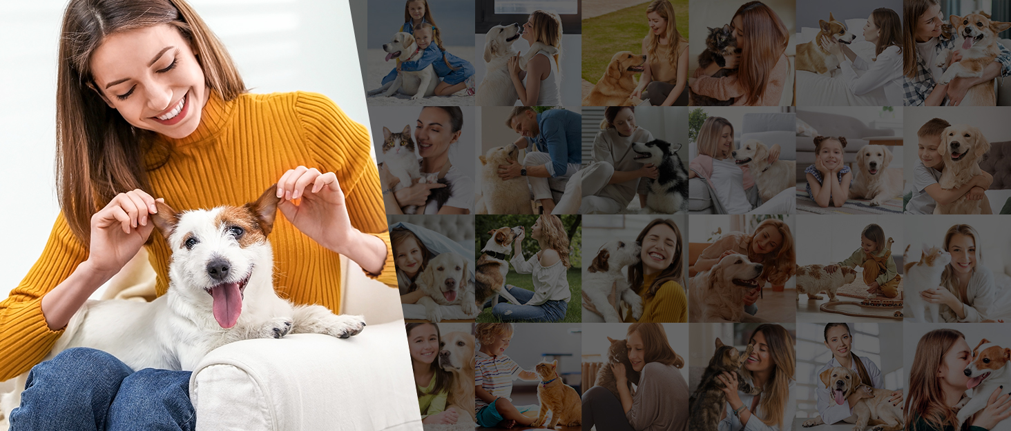 Шліфувальник для собак ETENTOUS: професійний, тихий, з 3 насадками та ножицями для догляду за кігтями. Підходить для собак великих, середніх та малих порід. Чорний колір.