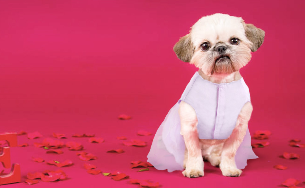 Сукня для собак на весілля: розкішний плаття для цуценят, сукня принцеси, літнє вбрання для собак, весільні сукні для собак, вечірні сукні з бантиком для маленьких дівчаток (XS, фіолетовий)