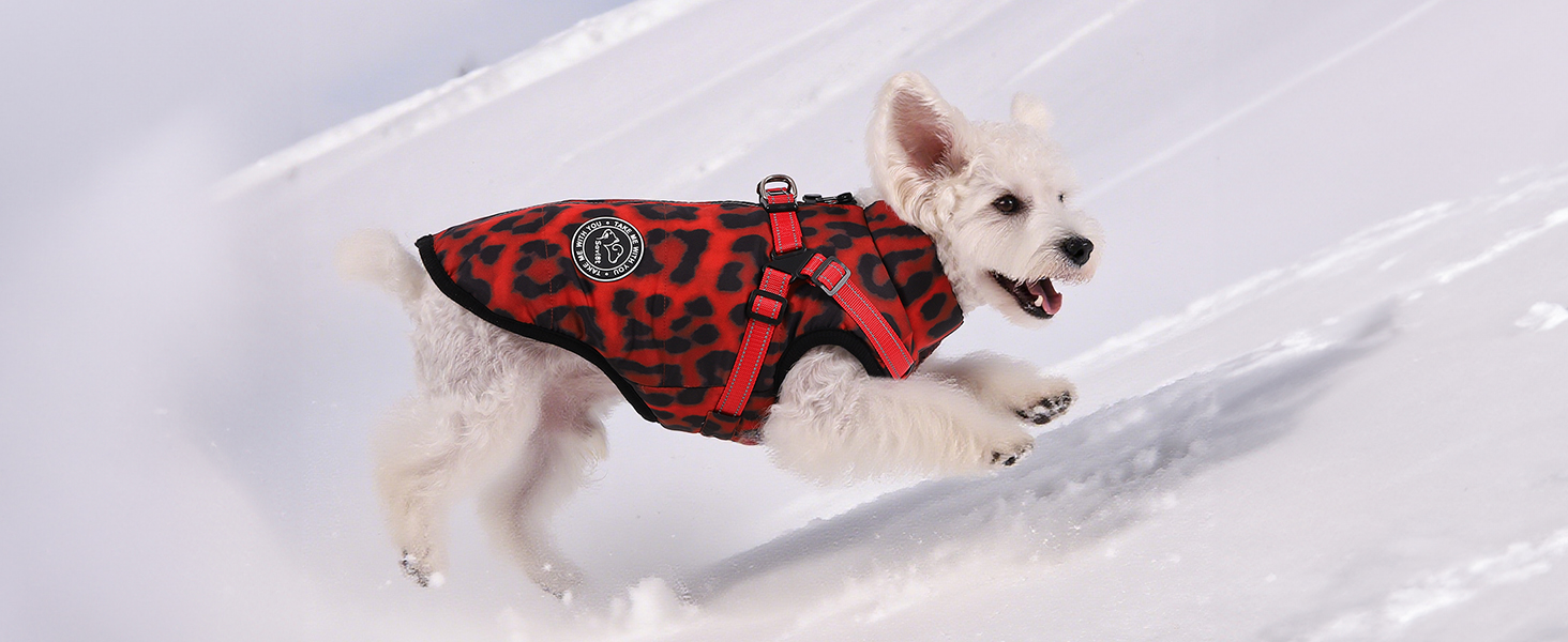 Водонепроникна куртка для собак на зиму з інтегрованим шлейкою та блискавкою. Теплий зимовий костюм для цуценят з леопардовим принтом, червоний (M)