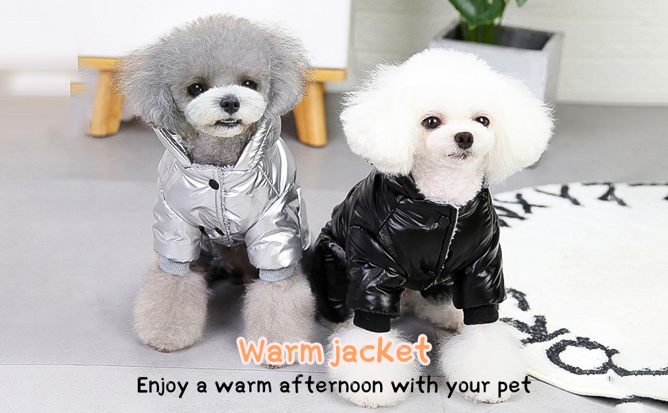 Водонепроникний теплий одяг для собак PETCUTE: куртка з капюшоном для малих, середніх та великих собак, срібно-білий, 2XL