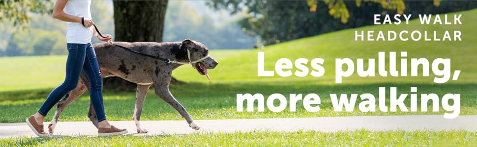 Шлейка для собак PetSafe Easy Walk, середній/великий розмір (чорна, L)