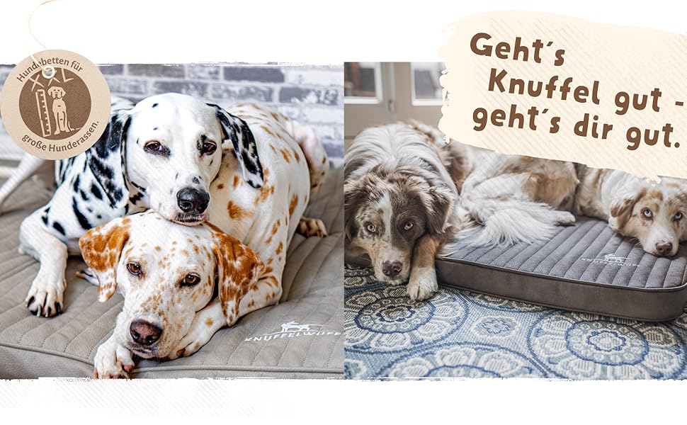 Ортопедичний лежак для собак Knuffelwuff Ellenie з плюшу та велюру, 79x60 см, бежевий, не ковзає, легко чиститься, для великих, середніх і малих собак