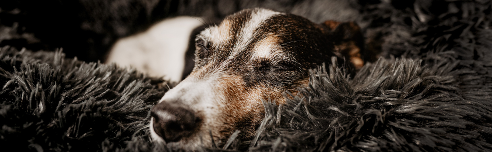 District 70 Fuzz - Sand - Пісочний колір, в'язані чоловічі шкарпетки