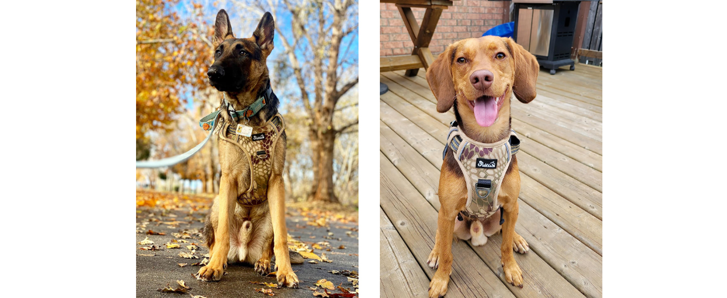 Шлейка для собак великих порід, анти-тяга, з 2 карабінами та зручною ручкою, регульована та світловідбиваюча, з м'якою підкладкою, для щоденних тренувань (Чорний, L)