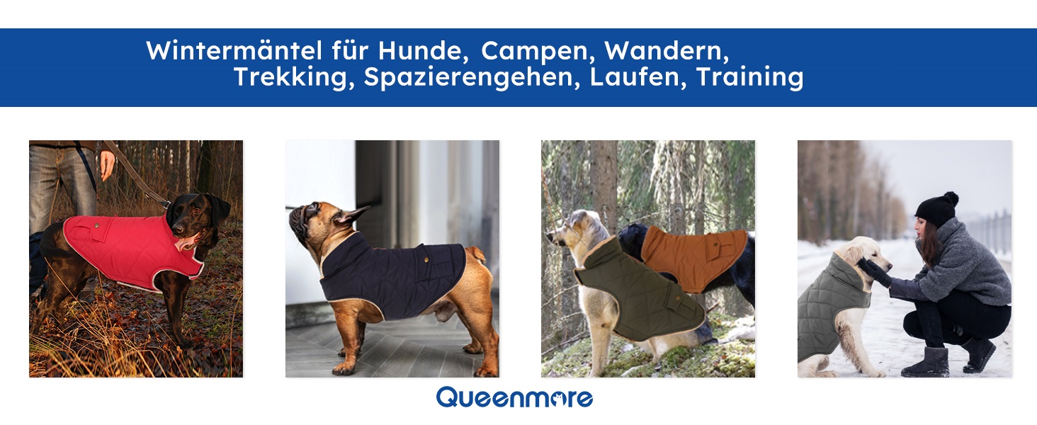 Водонепроникний зимовий теплий пуховик для собак Queenmore: для джек-расселів, чихуахуа, пуделів, бульдогів, біглів, блакитний, розмір S