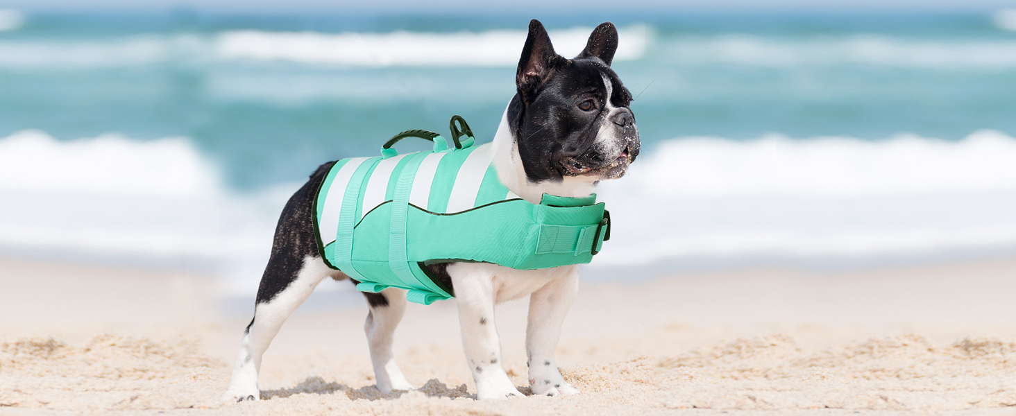 Спасальний жилет для собак, блакитний, розмір S, для джек-рассел, чихуахуа, французький бульдог, лабрадор - ASENKU