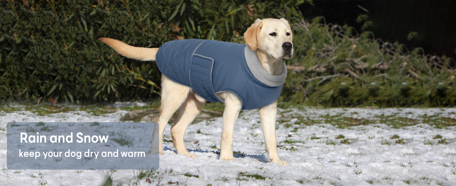 Зимовий теплий одяг для собак маленьких порід: куртка, жилет, теплий костюм для Чихуахуа, Звергшпіца, Йоркширського тер'єра (Армійний зелений, XS)