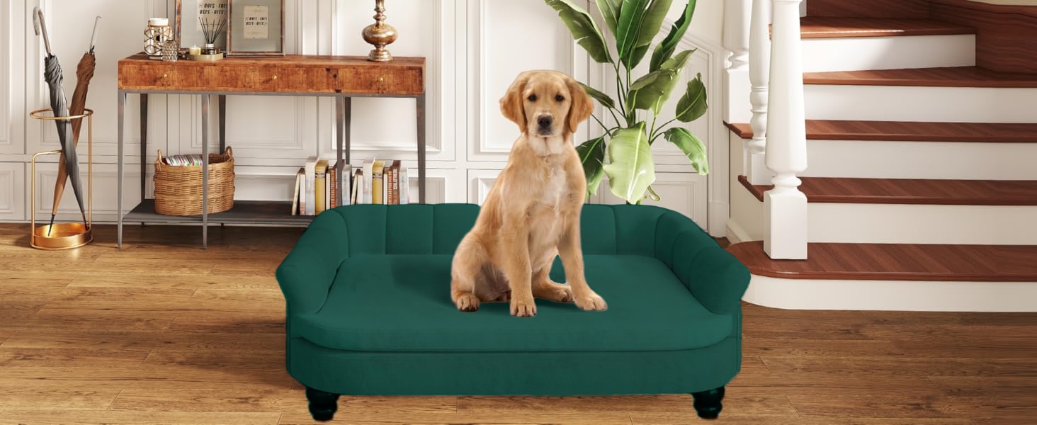 Диванчик для собак SEYNAR: м'яке крісло з велюру для великих та середніх собак, зручний диван для дому, миється