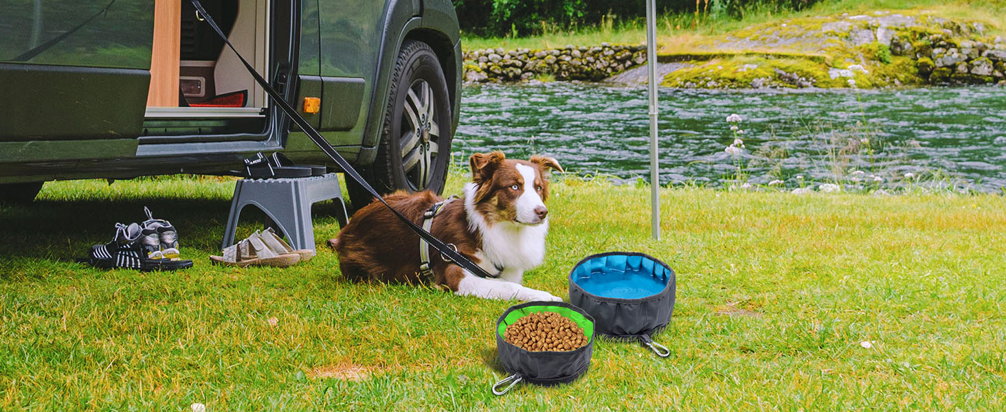 Набір мисок для собак LumoLeaf: 2 шт. (2L + 2.4L) - складані, для подорожей