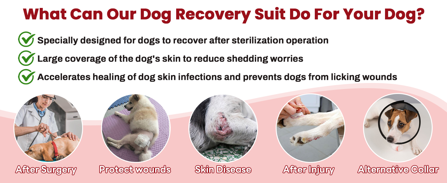 Теплий дощовик-худі для собак з капюшоном та захистом вух, 2 в 1, зелений (M, червоний)