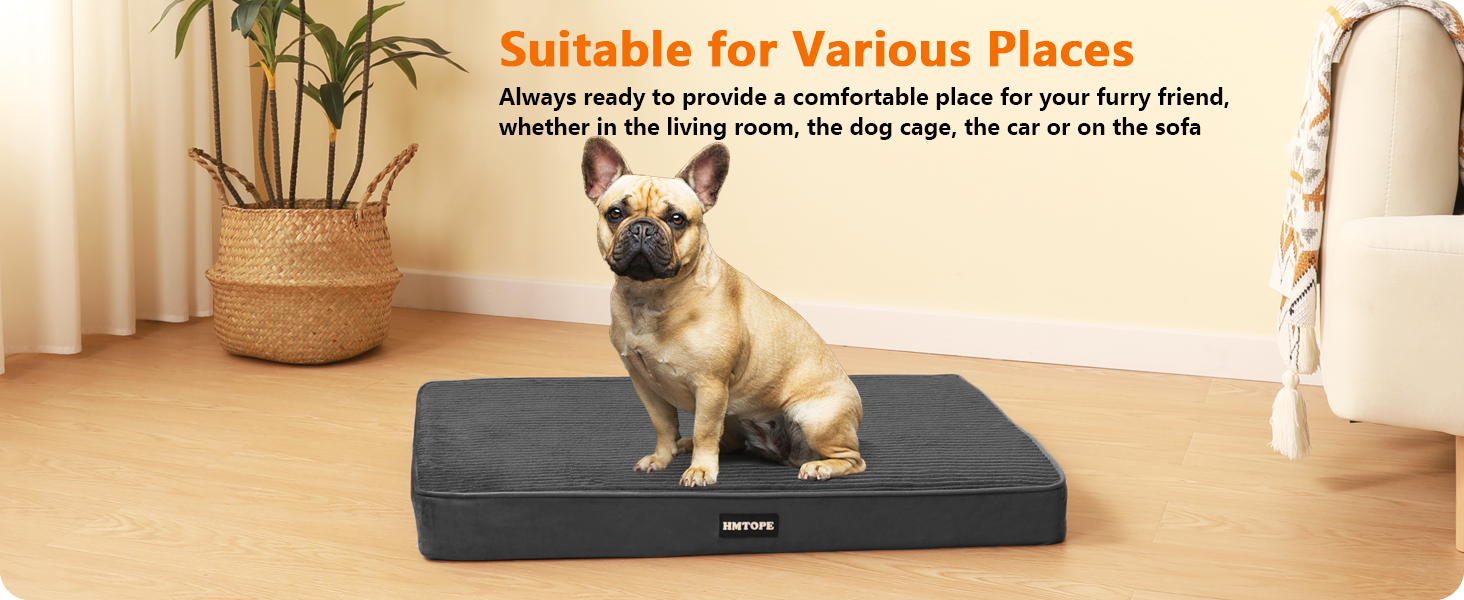 Ортопедичне ліжко для собак, 8 см товщина, подушка для маленьких собак, знімний та пральний килимок, неслизьке дно, водонепроникна підкладка, 76 см, темно-сірий L 76 x 51 x 8 см, темно-сірий