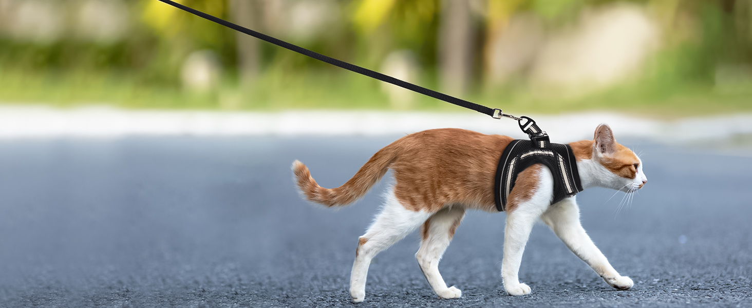 Шлейка для котів Rabbitgoo з повідком, чорна, M (XL, 1 шт.)