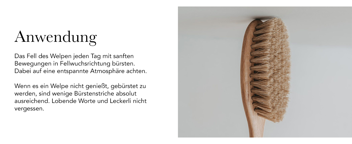 Щітка для собак з довгим волоссям Lila Loves It – з металевими закругленими щетинками, веганська, з бука з екологічного лісового господарства, Made in Germany