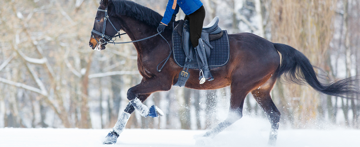 Легінси для верхової їзди жіночі зимові FitsT4 з силіконовою вставкою, флісовою підкладкою, кишенею для телефону та петлями для ременя, темно-синій, XL