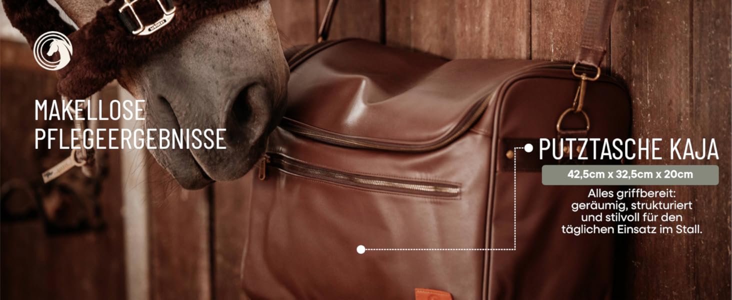 Набір для догляду за конем (12 предметів) – повний комплект для чищення коней: щітка-кардаш, щітка для гриви, копитачка, стрігач, гребінець для гриви та сумка – високоякісний набір для стайні та турнірів