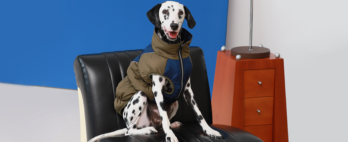 Зимові куртки та зимові пальта для собак IECOii, тепла зимова куртка для собак, пальта для собак, зимові пальта для собак, куртка-жилет для собак, теплий зимовий одяг для собак, водонепроникні куртки для собак, зелений колір, розмір M (обхват грудей: 53 см), армійсько-зелений