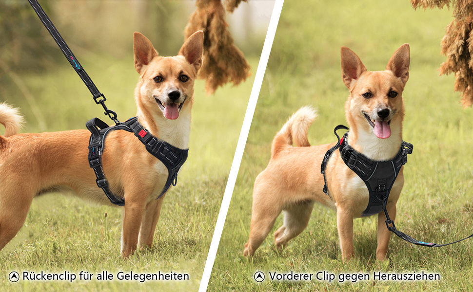 Шлейка для собак PHOEPET No Pull, чорна, L - регульована, з контролем, для прогулянок