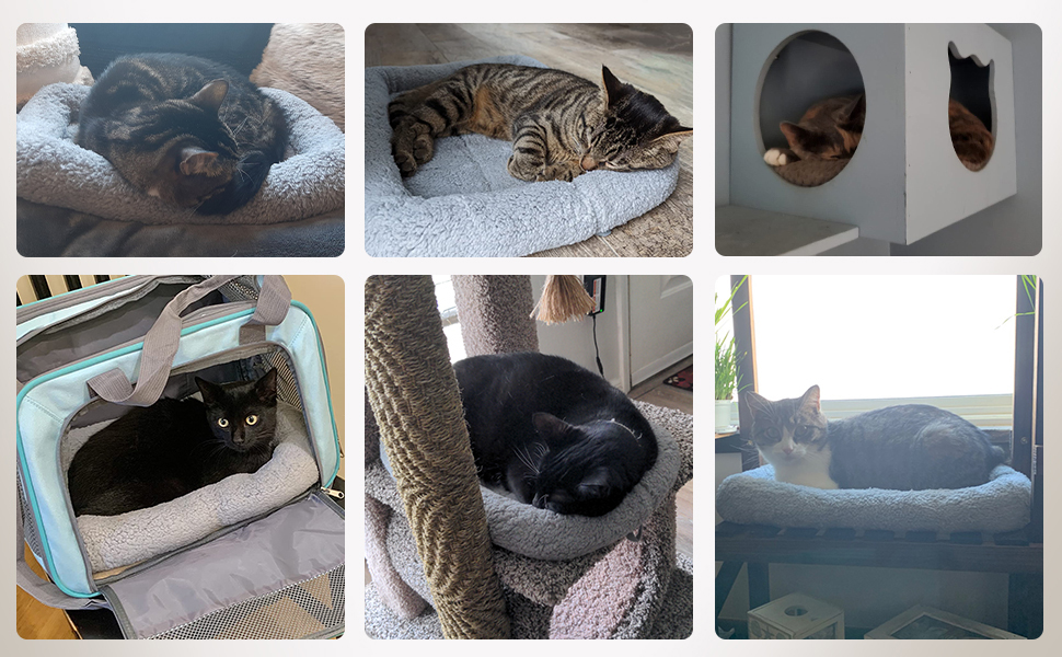 Килимок для кота 