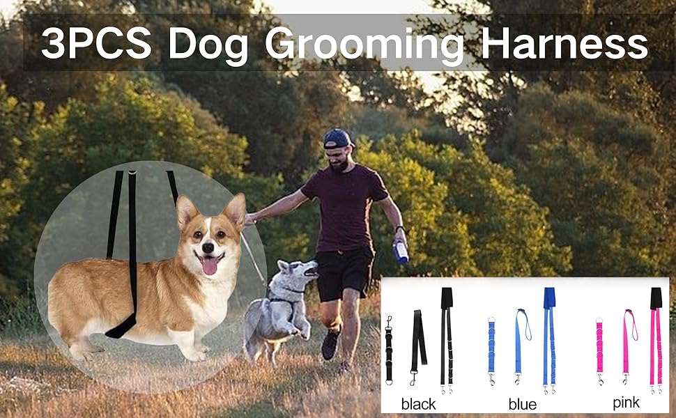 Нашийник для собак 3 шт., міцний, з регульованим тросом та D-кільцями, для грумінгу та купання, блакитний