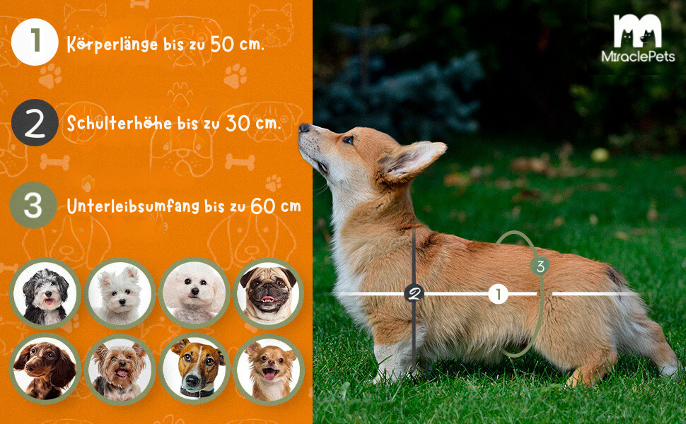 Рюкзак для собак Miracle Pets Rufftrails до 9 кг - водонепроникний, дихаючий, для походів, пляжу, парку - чорний