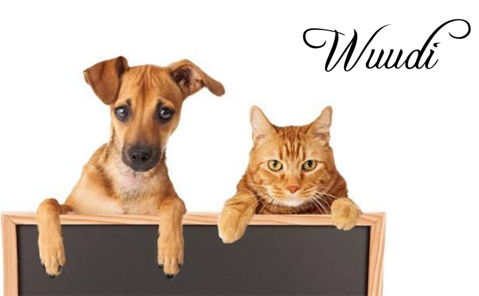 Крісло-гніздо для котів та собак, плюшеве, 55 см, сіре. Зручне ліжко для кота та собаки, антиковзаюче, миється