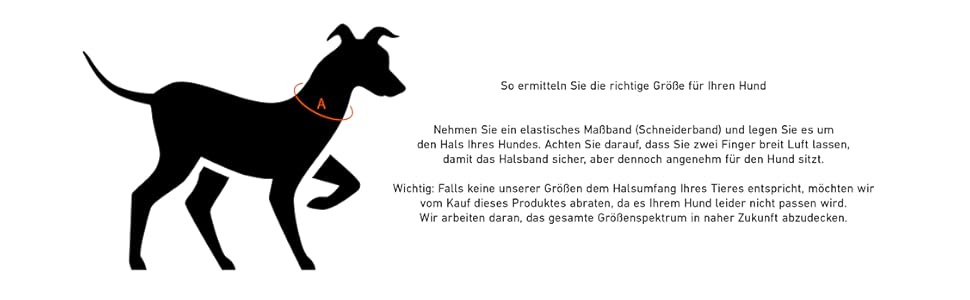 Нашийник для собак Джек Рассел з натуральної шкіри Amy - м'який, надійний, двошаровий нашийник для собак маленьких, середніх та великих порід (XS, Коричневий) XS (26.0-34.0 см)