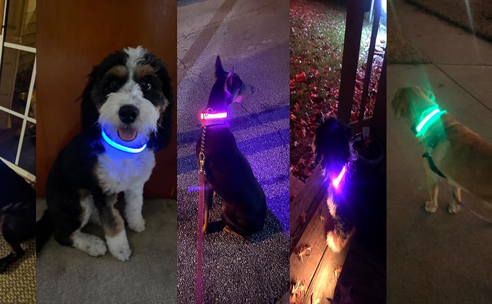 Світловідбиваючий нашийник для собак MASBRILL з LED, USB-C, регульований, водонепроникний, 3 режими світла, розмір M, колір зелений