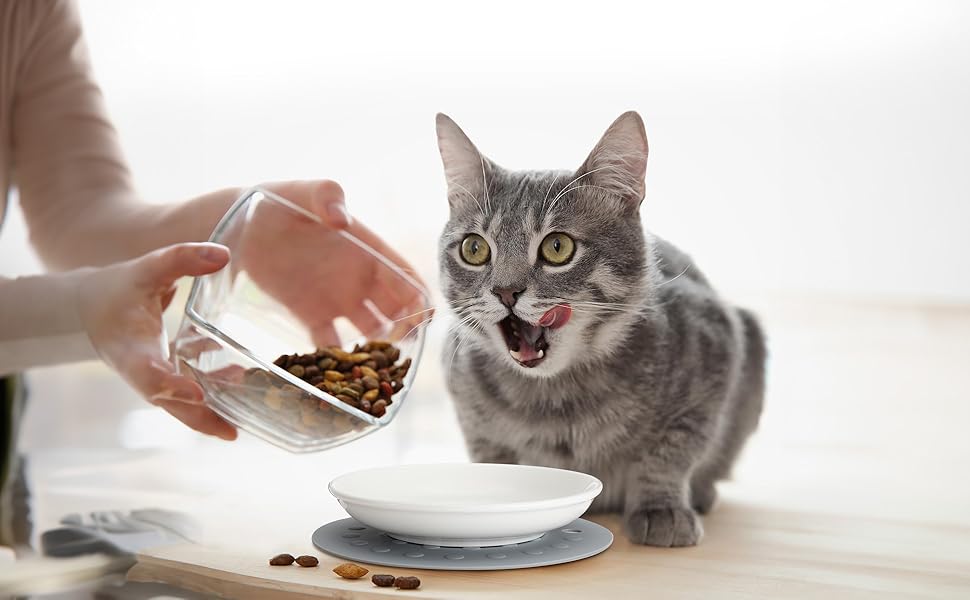 Набір мисок для котів на 6 місць - 6 мисок з кераміки та підставки, широкі миски для котів, що зменшують подразнення вусів, плоскі миски для кошенят та дрібних тварин