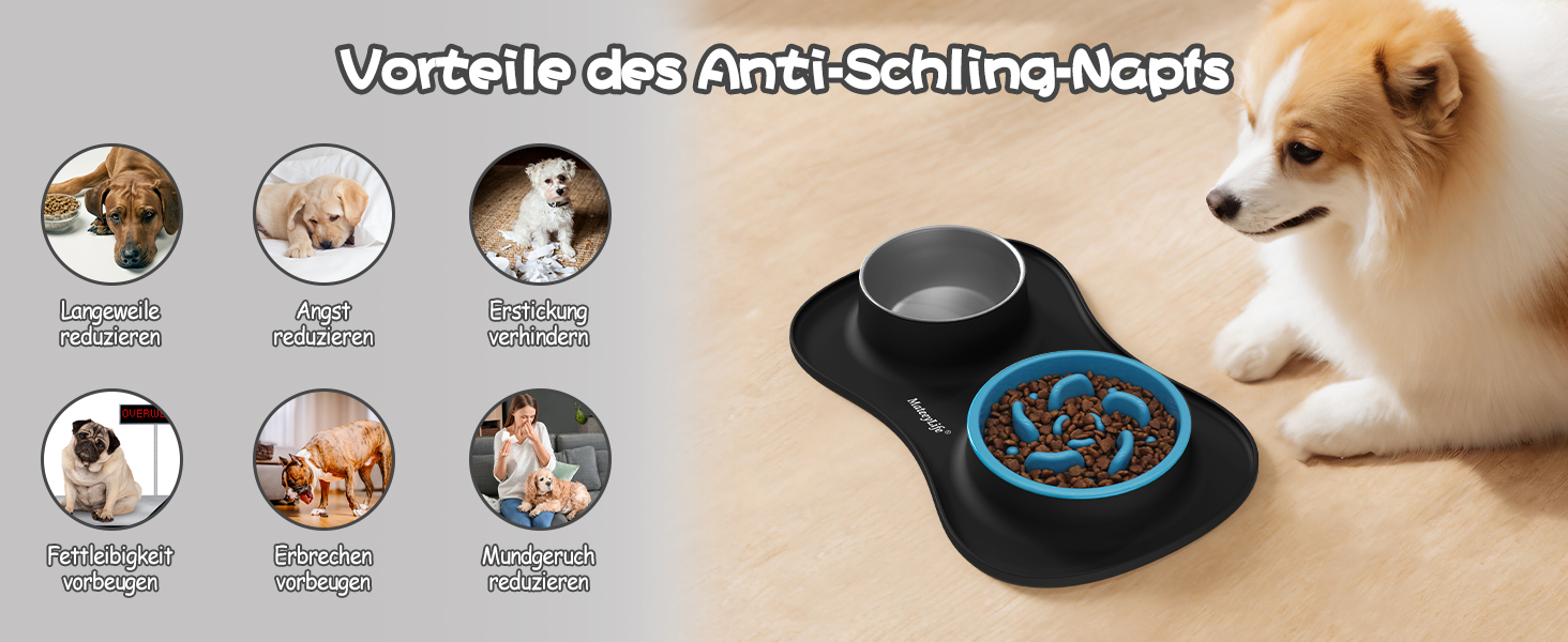 Набір мисок для собак MateeyLife 3-в-1: миска для їжі протиковзаюча, миска для води з нержавіючої сталі та силіконова підставка. Підходить для собак, котів та цуценят різних порід. Чорний колір.